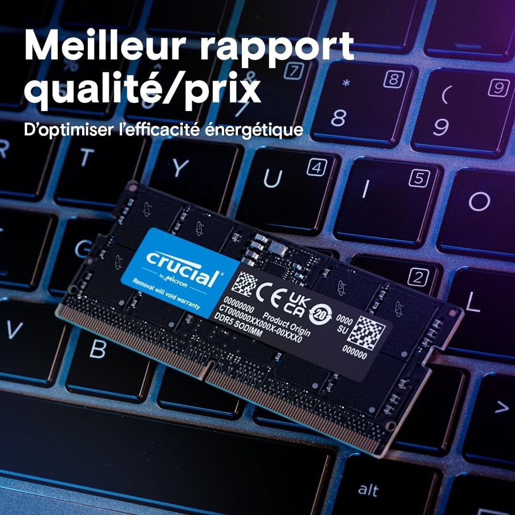 Crucial RAM DDR5 24Go 5600MHz