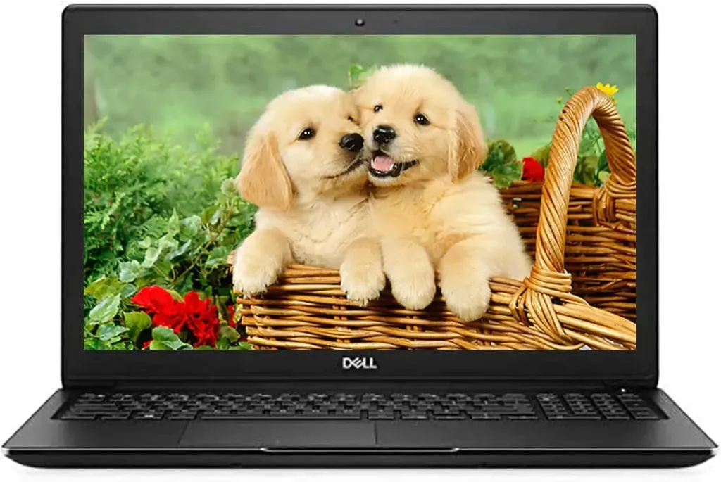 DELL LATITUDE 3500 (i5-8Th) 8GO 256GO 